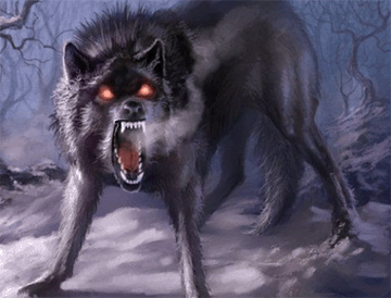 A Dire Wolf