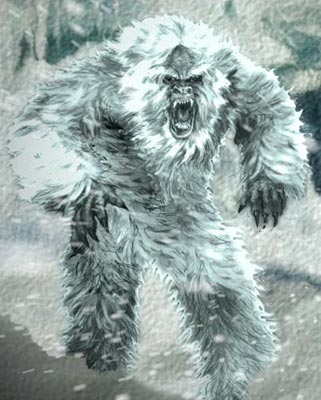 Yeti